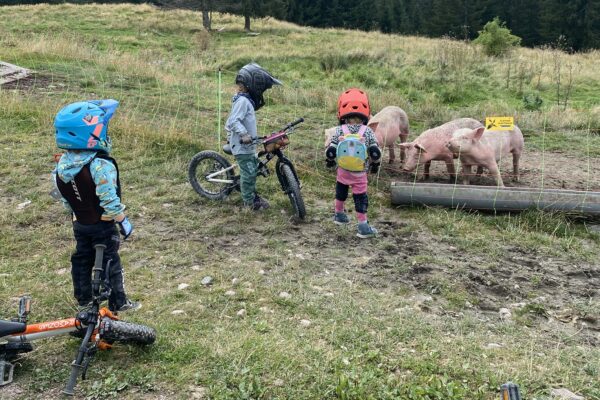 STAGES VTT SEASON 2025 LES GETS MORZINE – Image 2